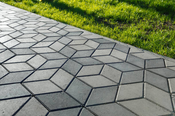 Best Driveway Paving Contractor  in Wyong, MI